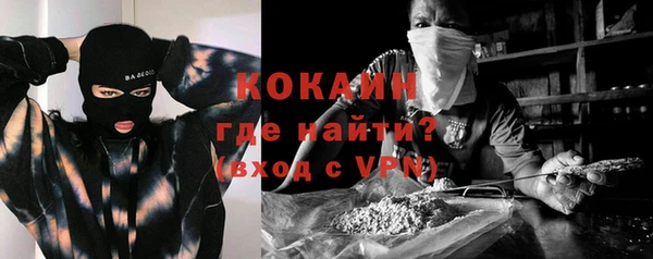 mix Богородицк