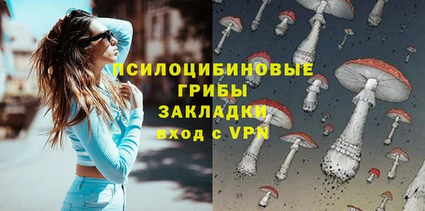 mix Богородицк