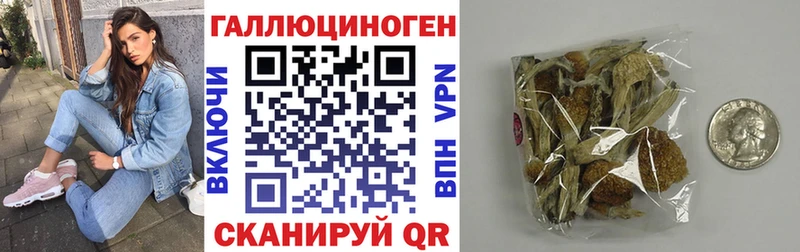 Галлюциногенные грибы Cubensis  Мурино 
